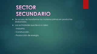  Se ocupa de transformar las materias primas en productos
elaborados.
 Las actividades que lleva a cabo:
- Industria.
- Construcción.
- Producción de energía.
 