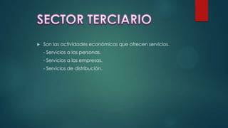  Son las actividades económicas que ofrecen servicios.
- Servicios a las personas.
- Servicios a las empresas.
- Servicios de distribución.
 