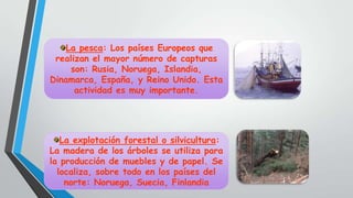 La pesca: Los países Europeos que
 realizan el mayor número de capturas
     son: Rusia, Noruega, Islandia,
Dinamarca, España, y Reino Unido. Esta
      actividad es muy importante.




   La explotación forestal o silvicultura:
La madera de los árboles se utiliza para
la producción de muebles y de papel. Se
  localiza, sobre todo en los países del
    norte: Noruega, Suecia, Finlandia
 