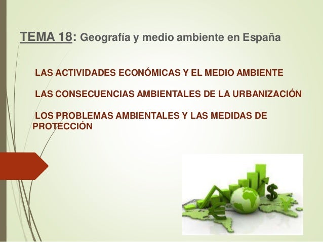 Las actividades económicas y el medio ambiente