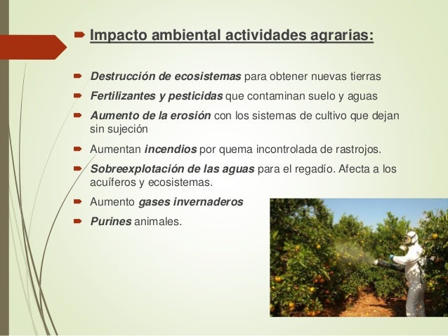 Las actividades económicas y el medio ambiente