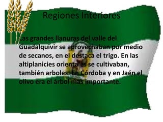 Regiones Interiores
Las grandes llanuras del valle del
Guadalquivir se aprovechaban por medio
de secanos, en el destaca el trigo. En las
altiplanicies orientales se cultivaban,
también arboles. En Córdoba y en Jaén el
olivo era el árbol mas importante.

 