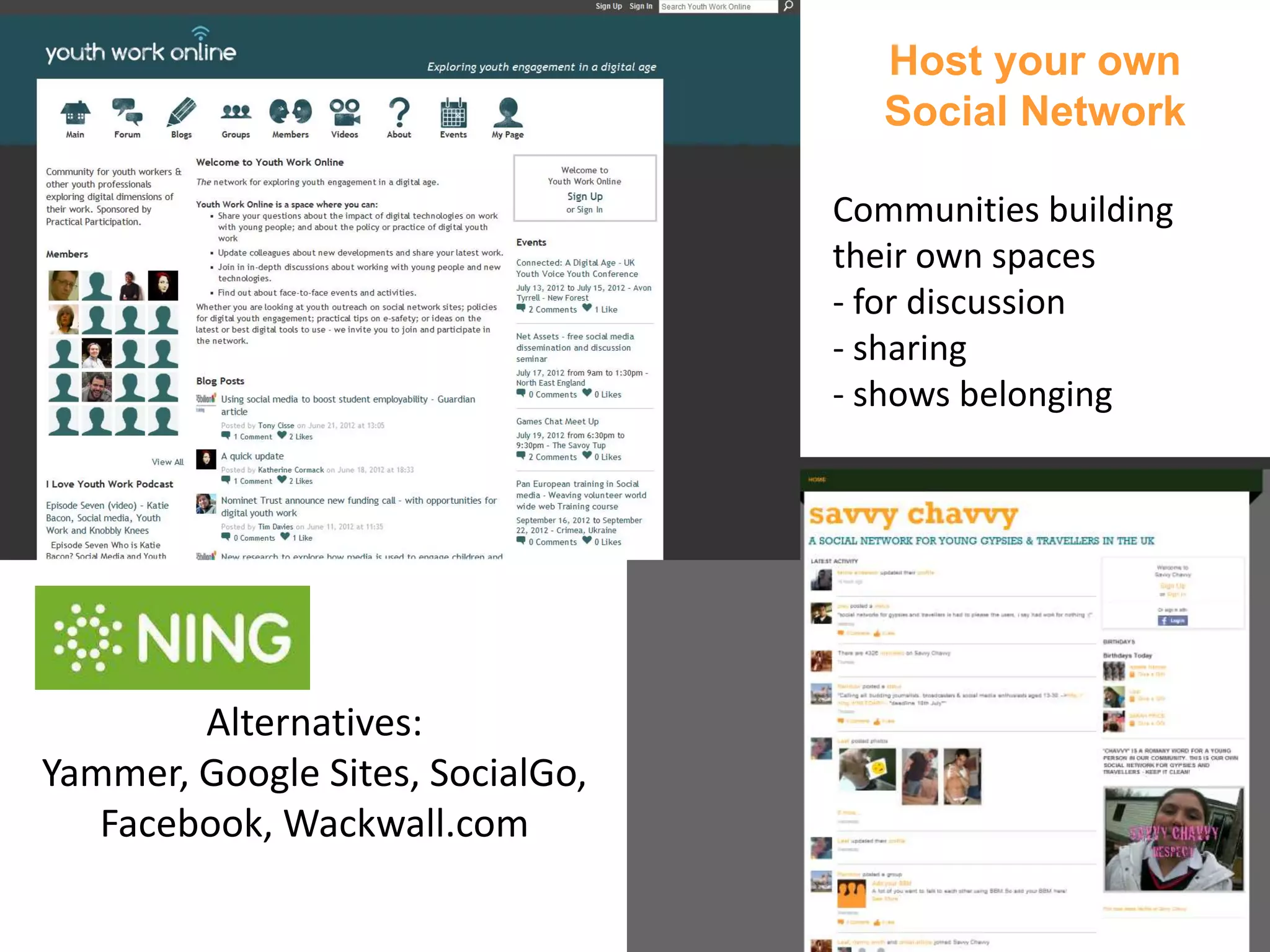 Host your own
                                     Social Network

                                  Communities building
                                  their own spaces
                                  - for discussion
                                  - sharing
                                  - shows belonging




        Alternatives:
Yammer, Google Sites, SocialGo,
   Facebook, Wackwall.com
 