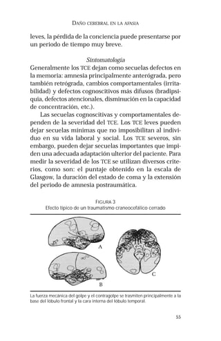 55
DAÑO CEREBRAL EN LA AFASIA
leves, la pérdida de la conciencia puede presentarse por
un periodo de tiempo muy breve.
Sintomatología
Generalmente los TCE dejan como secuelas defectos en
la memoria: amnesia principalmente anterógrada, pero
también retrógrada, cambios comportamentales (irrita-
bilidad) y defectos cognoscitivos más difusos (bradipsi-
quia, defectos atencionales, disminución en la capacidad
de concentración, etc.).
Las secuelas cognoscitivas y comportamentales de-
penden de la severidad del TCE. Los TCE leves pueden
dejar secuelas mínimas que no imposibilitan al indivi-
duo en su vida laboral y social. Los TCE severos, sin
embargo, pueden dejar secuelas importantes que impi-
den una adecuada adaptación ulterior del paciente. Para
medir la severidad de los TCE se utilizan diversos crite-
rios, como son: el puntaje obtenido en la escala de
Glasgow, la duración del estado de coma y la extensión
del periodo de amnesia postraumática.
FIGURA 3
Efecto típico de un traumatismo craneocefálico cerrado
La fuerza mecánica del golpe y el contragolpe se trasmiten principalmente a la
base del lóbulo frontal y la cara interna del lóbulo temporal.
 