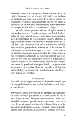 59
DAÑO CEREBRAL EN LA AFASIA
los oídos, la nariz y la garganta. En ocasiones, tiene un
origen hematógeno, un trombo infectado o un émbolo
de bacteria que penetra a través de la sangre en las es-
tructuras cerebrales. En un número inferior de casos la
infección es introducida directamente como resultado
de una punción lumbar, TCE o de una cirugía.
Las infecciones pueden afectar el tejido cerebral
por varias razones. En primer lugar, pueden interferir
sobre el flujo sanguíneo cerebral, generando trombo-
sis o hemorragias de los capilares; tienen, además, la
capacidad de alterar seriamente el metabolismo de las
células o las características de la membrana celular,
alterando las propiedades eléctricas de la misma. El
edema que generalmente aparece como consecuencia
de la infección puede comprometer diversas estructu-
ras cerebrales, alterando su función normal. La reac-
ción de defensa del organismo contra la infección es
fuente potencial de alteraciones dentro del sistema
nervioso. La producción de pus, fluido compuesto bá-
sicamente de células blancas, modifica el líquido
extracelular y su producción puede incrementar la pre-
sión dentro del cerebro.
Clasificación
Las infecciones se pueden dividir, dependiendo del tipo
de huésped infeccioso, en: virales, bacterianas, micóticas
y parasitarias.
Infecciones virales. Un virus es un agregado encapsulado
de ácido nucléico que puede estar constituido de DNA o
RNA. Algunos virus, llamados neurotrópicos, tienen una
afinidad particular por el sistema nervioso, como es el
caso de los virus que producen la poliomelitis y la rabia.
Los virus pantrópicos, como el virus del herpes simple,
atacan todo el cuerpo, incluyendo el sistema nervioso.
 