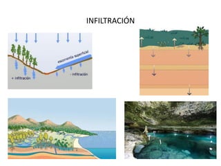 INFILTRACIÓN
 