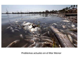 Problemas actuales en el Mar Menor
 