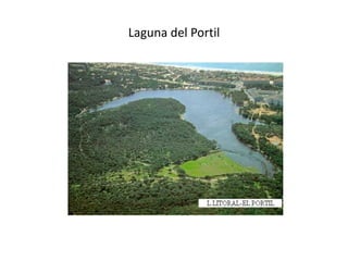 Laguna del Portil
 