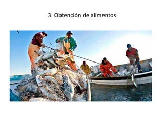 3. Obtención de alimentos
 