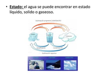 • Estado: el agua se puede encontrar en estado
líquido, solido o gaseoso.
 