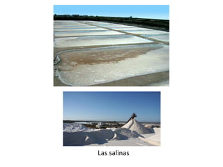 Las salinas
 