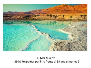 El Mar Muerto
(350/370 gramos por litro frente al 35 que es normal)
 