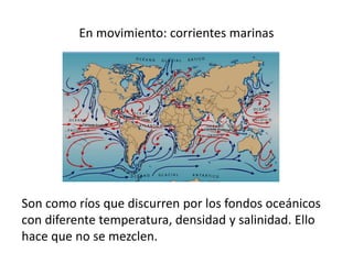 En movimiento: corrientes marinas
Son como ríos que discurren por los fondos oceánicos
con diferente temperatura, densidad y salinidad. Ello
hace que no se mezclen.
 