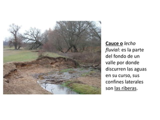 Cauce o lecho
fluvial: es la parte
del fondo de un
valle por donde
discurren las aguas
en su curso, sus
confines laterales
son las riberas.
 