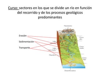 Curso: sectores en los que se divide un río en función
del recorrido y de los procesos geológicos
predominantes
Erosión
Sedimentación
Transporte
 
