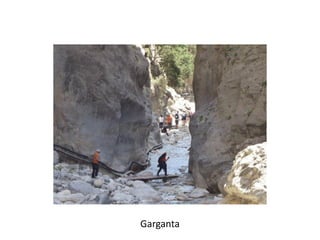 Garganta
 