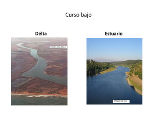 Curso bajo
Delta Estuario
 