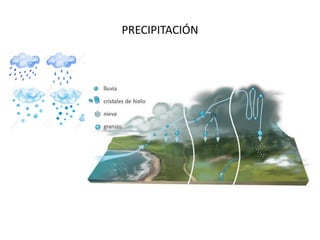 PRECIPITACIÓN
 