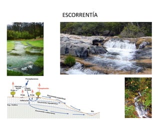 ESCORRENTÍA
 