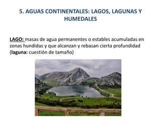 5. AGUAS CONTINENTALES: LAGOS, LAGUNAS Y
HUMEDALES
LAGO: masas de agua permanentes o estables acumuladas en
zonas hundidas y que alcanzan y rebasan cierta profundidad
(laguna: cuestión de tamaño)
 