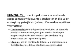 • HUMEDALES: o medios palustres son láminas de
aguas someras y fluctuantes, suelen tener alto valor
ecológico y paisajístico (interacción medios acuáticos
y terrestres)
– Continentales: sobre depresiones terciarias, en zonas de
precipitaciones escasas, con gran perdida hídrica por
evapotranspiración y sustentadas por acuíferos muy
amenazados por la presión agrícola
– Litorales: acción combinada del mar y la sedimentación
fluvial (estuarios, deltas, albuferas, marismas, rías)
 
