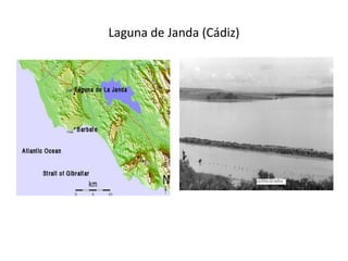 Laguna de Janda (Cádiz)
 
