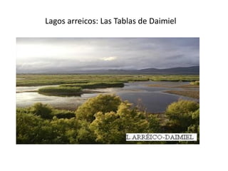 Lagos arreicos: Las Tablas de Daimiel
 