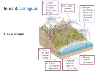 Tema 3: Las aguas




El ciclo del agua
 
