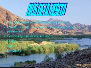 Los más largos nacen alejados del océano. Caudal : estiaje en verano y crecidas en otoño y primavera. Los ríos que la atraviesan son: Duero Tajo Guadiana RIOS DE LA MESETA                                                                                 El río Orange El Orange es uno de los pocos ríos de curso 