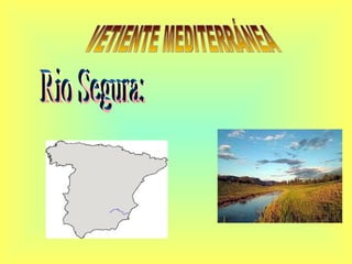 VETIENTE MEDITERRÁNEA Rio Segura: 