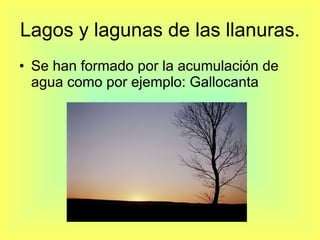 Lagos y lagunas de las llanuras. Se han formado por la acumulación de agua como por ejemplo: Gallocanta 