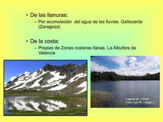 De las llanuras: Por acumulación  del agua de las lluvias. Gallocanta (Zaragoza) De la costa: Propias de Zonas costeras llanas. La Albufera de Valencia 