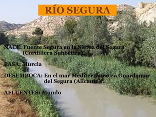 RÍO SEGURA NACE: Fuente Segura en la Sierra del Segura (Cordillera Subbética). PASA: Murcia DESEMBOCA: En el mar Mediterráneo en Guardamar  del Segura (Alicante) AFLUENTES: Mundo 