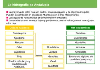 La hidrografía de Andalucía

   La mayoría de estos ríos son cortos, poco caudalosos y de régimen irregular.
Pueden desembocar en el océano Atlántico o en el mar Mediterráneo.
   Las aguas de nuestros ríos se almacenan en embalses.
   Las marismas son terrenos bajos y pantanosos que se hallan junto al mar o junto
a los ríos.
   Océano Atlántico                                         Mar Mediterráneo

      Guadalquivir                                               Guadiaro
       Guadiana                                                Guadalhorce

        Barbate                                                 Guadalfeo
         Odiel                          Guadalimar               Andarax

       Guadalete                         Jándula                Almanzora
                            afluentes
         Tinto                           Guadiato         Son cortos, rápidos, de
                                                           caudal escaso y muy
  Son los más largos y                    Genil                irregulares.
    caudalosos de
       Andalucía.                       Guadajoz
 