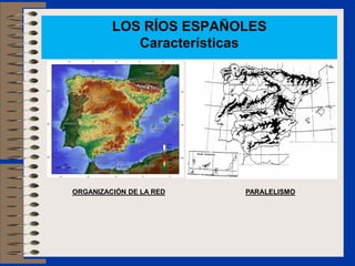 LOS RÍOS ESPAÑOLES
            Características




ORGANIZACIÓN DE LA RED   PARALELISMO
 