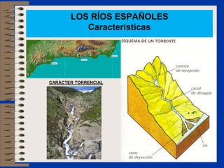 LOS RÍOS ESPAÑOLES
          Características




CARÁCTER TORRENCIAL
 