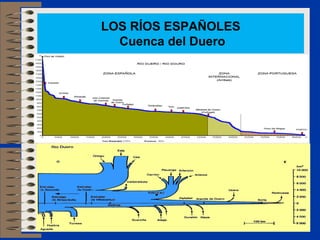 LOS RÍOS ESPAÑOLES
  Cuenca del Duero
 