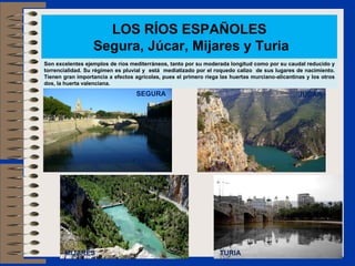 LOS RÍOS ESPAÑOLES
                  Segura, Júcar, Mijares y Turia
Son excelentes ejemplos de ríos mediterráneos, tanto por su moderada longitud como por su caudal reducido y
torrencialidad. Su régimen es pluvial y está mediatizado por el roquedo calizo de sus lugares de nacimiento.
Tienen gran importancia a efectos agrícolas, pues el primero riega las huertas murciano-alicantinas y los otros
dos, la huerta valenciana.
                                   SEGURA                                                        JÚCAR




       MIJARES                                                     TURIA
 