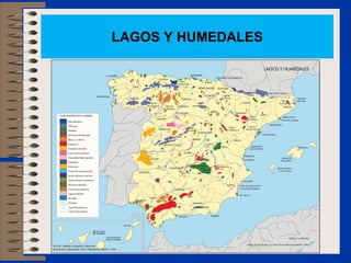 LAGOS Y HUMEDALES
 