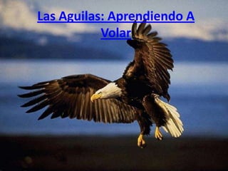 Las Aguilas: Aprendiendo A Volar 