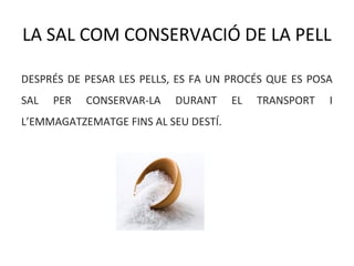 LA SAL COM CONSERVACIÓ DE LA PELL
DESPRÉS DE PESAR LES PELLS, ES FA UN PROCÉS QUE ES POSA
SAL PER CONSERVAR-LA DURANT EL TRANSPORT I
L’EMMAGATZEMATGE FINS AL SEU DESTÍ.
 
