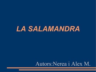 LA SALAMANDRA Autors:Nerea i Alex M. 