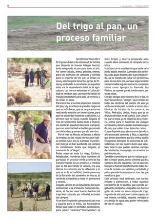 8                                                                   Las Alcublas - 5 / Agosto 2010




    Del trigo al pan, un
    proceso familiar

                         Serafín Martínez Marz      mies (trigo), y tenerla preparada para
    El trigo era básico de necesidad, la familia    cuando diera comienzo la campaña de la
    que disponía de buenas talegas (sacos),         trilla.
    tenía asegurado el pan para todo el año.        Había un turno establecido que nadie se lo
    Así como cebada, avena, pésoles, yedros,        podía saltar, eran los llamados días de tri-
    para los animales de labranza y comida          lla, cada pajar disponía del suyo estableci-
    para el engorde de los que se tenían en         do, así se trataba de evitar los problemas
    casa y servían para llenar las jarras de fri-   para el uso de la era, aunque seguramente
    dura y embutido. La economía en aquellos        siempre había alguien que no lo cumpliese
    años era de dependencia total de la agri-       (sirva como ejemplo la llamada Era
    cultura. Los hornos existentes en la locali-    Pleitos: se supone que el nombre sería por
    dad no vendían pan, las mujeres hacían el       estas cosas.
    masijo (amasaban) para toda la semana, y        Con las talegas procedentes de la trilla, se
    lo cocían en ellos.                             iban llenando los “ atrojes “ que existían en
    Para recordar a los más jóvenes el proceso      todas las cambras del pueblo. De aquí ya
    del pan, voy a contaros a grandes rasgos lo     se iba sacando para llevarlo a moler a las
    que se solía hacer, que es lo que estamos       fábricas de harinas de la comarca, en
    realizando este año con los escolares, para     Villar, Pedralba, Jérica, hasta que ya se
    que no se pierdan nuestras tradiciones. Lo      dispuso de ellas en el pueblo. Con la hari-
    primero que se hacía, cuando llegaba el         na que se traía, ya se disponía de la mate-
    mes de septiembre (sobre todo a finales),       ria prima para ir haciendo los masijos
    era sembrar aquellos bancales (campos),         semanales y tenerlo en las llamadas cajas
    que con anterioridad se habían preparado        de pan, que solían tener todas las casas.
    con delicadeza y esmero para la siembra.        El que disponía para el consumo de todo el
       Por el mes de Marzo, se llevaba a efecto     año ya estaba contento y feliz, y aquellos
    la limpieza de las malas hierbas que habí-      que tenían excedente para la venta, podéis
    an podido salir, era la llamada “escardá“,      imaginaros (tiempos de economía de sub-
    con esto ya se iban quedando los campos         sistencia), con los cuatro duros que saca-
    en condiciones hasta que llegaba el             ban, todo lo que podían realizar, compra
    momento de la “siega“.                          de caballerías, nuevopajar, incrementar su
    Poder observar toda La Hoya, Caldero,           patrimonio, etc.
    Rebalsador, Hombrías (son nombres de            También comentaros que se solían guar-
    partidas), en un color verde y como se iba      dar el mejor grano, como simiente para la
    transformando en un amarillo, a medida          siembra del año siguiente. Con el paso del
    que se iba acercando el verano, era una         tiempo se fueron transformando estas tie-
    delicia, lo comento por lo diferente a lo       rras de cereales en viñedos y arbolado, y
    que es en la actualidad, donde pasamos          ya las panaderías empezaron a ser las que
    de la floración del almendro en marzo, al       vendían el pan.
    verde de almendros y viñas en primavera         Este artículo está dedicado, con cariño,
    y verano.                                       respeto y admiración, a todos aquellos
    Llegaba la hora de la siega (tarea dura por     labradores de mi pueblo, que cuando lle-
    excelencia), si la primavera había sido llu-    gaba esta campaña, se dejaban sus buenas
    viosa, se hacían unas buenas hacínas (el        gotas de sudor en esos campos de trigo,
    trigo bien colocado por si llovía), en todos    segando de sol a sol, con la única ayuda de
    los campos.                                     sus manos, corbella, zoqueta, vencejos y
    Ya se iban limpiando y preparando las eras      una botija de agua para poder refrescarse
    y pajares para la trilla, los hacinaderos       de vez en cuando.
    tenían que estar en perfectas condiciones,
    para poder “acarrear“(transportar) la
 