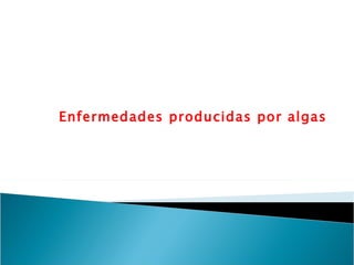 Enfermedades producidas por algas 