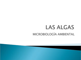 MICROBIOLOGÍA AMBIENTAL 