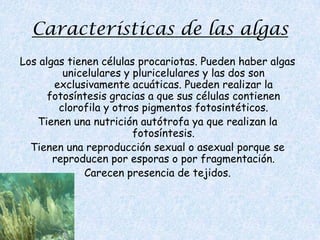 Las algas pardas se utilizan como fertilizante y  como un ingrediente del alimento del ganado. 