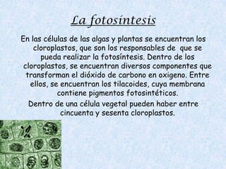 Tiene muchos usos industriales.