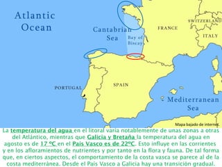 La temperatura del agua en el litoral varía notablemente de unas zonas a otras
del Atlántico, mientras que Galicia y Bretaña la temperatura del agua en
agosto es de 17 ºC en el País Vasco es de 22ºC. Esto influye en las corrientes
y en los afloramientos de nutrientes y por tanto en la flora y fauna. De tal forma
que, en ciertos aspectos, el comportamiento de la costa vasca se parece al de la
costa mediterránea. Desde el País Vasco a Galicia hay una transición gradual.
Mapa bajado de internet.
 