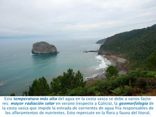 Esta temperatura más alta del agua en la costa vasca se debe a varios facto-
res: mayor radiación solar en verano (respecto a Galicia), la geomorfología de
la costa vasca que impide la entrada de corrientes de agua fría responsables de
los afloramientos de nutrientes. Esto repercute en la flora y fauna del litoral.
 