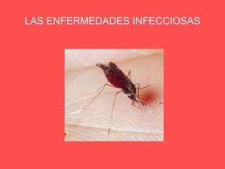 LAS ENFERMEDADES INFECCIOSAS 